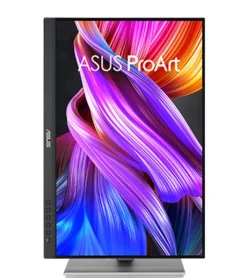 Asus ProArt PA248CNV 24