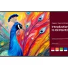 BenQ SH5504 Écran Pro Signage de 55 pouces certifié Pantone pour des présentations professionnelles