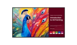 BenQ SH5504 Écran Pro Signage de 55 pouces certifié Pantone pour des présentations professionnelles