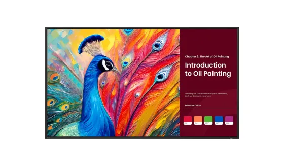 BenQ SH5504 Écran Pro Signage de 55 pouces certifié Pantone pour des présentations professionnelles