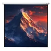 celexon écran de projection manuel Economy 280 x 280 cm - 156"