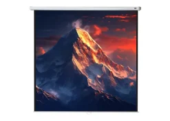 celexon écran de projection manuel Economy 280 x 280 cm - 156"
