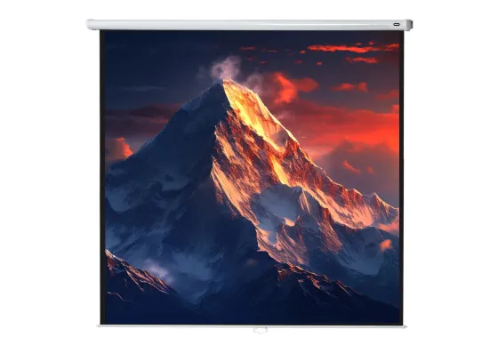 celexon écran de projection manuel Economy 280 x 280 cm - 156"