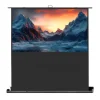 celexon écran de projection Ultramobile Professionnel Plus 120 x 68 - 54"