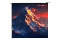 celexon écran de projection manuel Economy 220 x 220 cm - 122"