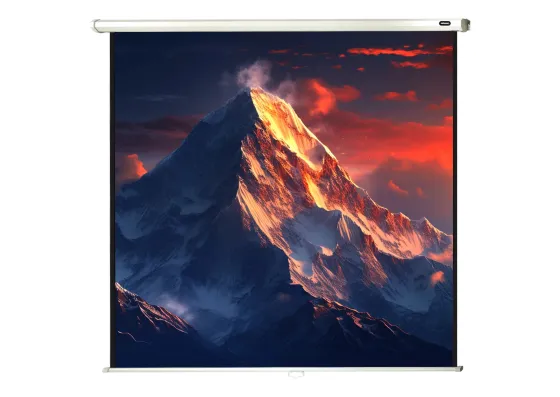 celexon écran de projection manuel Economy 220 x 220 cm - 122"