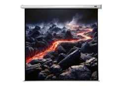 celexon écran de projection motorisé Economy 220 x 220 cm - 122"