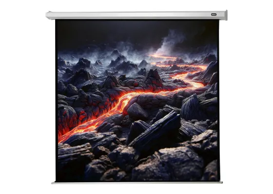 celexon écran de projection motorisé Economy 200 x 200 cm - 111"
