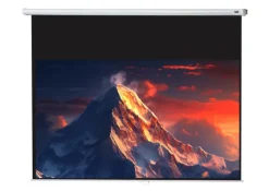 celexon écran de projection manuel Economy 220 x 124 cm - 99"