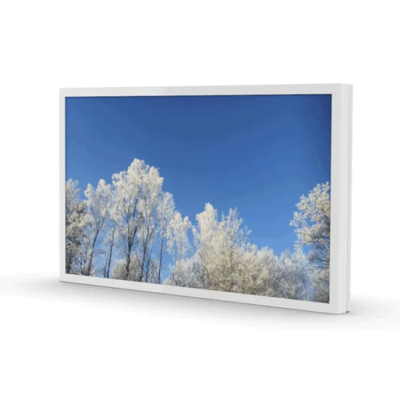 Coffre mural HI-ND 65" PROTECT - 65" (paysage), blanc