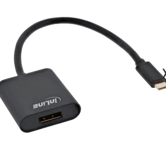 Convertisseur InLine USB type-C mâle vers DisplayPort femelle (ancien DP), 4K2K, 0,2 m, noir