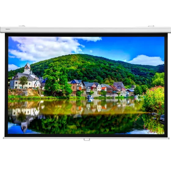 Écran de projection manuel Projecta ProScreen CSR 200 x 153 cm - blanc mat