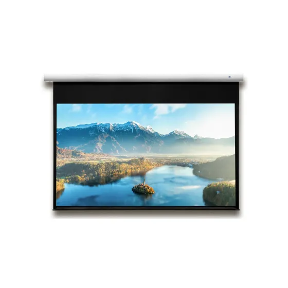 Écran de projection motorisé DELUXX Expert Elegance 4:3 Blanc Mat Polaro 171 x 128