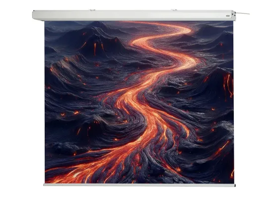 Écran de projection motorisé celexon Expert 280 x 280 cm