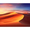 Écran de projection sur cadre celexon Expert PureWhite 250 x 140 cm