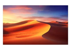 Écran de projection sur cadre celexon Expert PureWhite 350 x 197 cm
