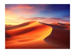Écran de projection sur cadre celexon Expert PureWhite 200 x 150 cm