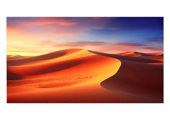 Écran de projection sur cadre celexon Expert PureWhite 250x 156 cm