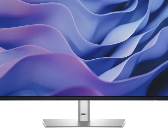 Dell P2425 - Moniteur IPS 24", 1920 x 1200 WUXGA, 100Hz, 8ms