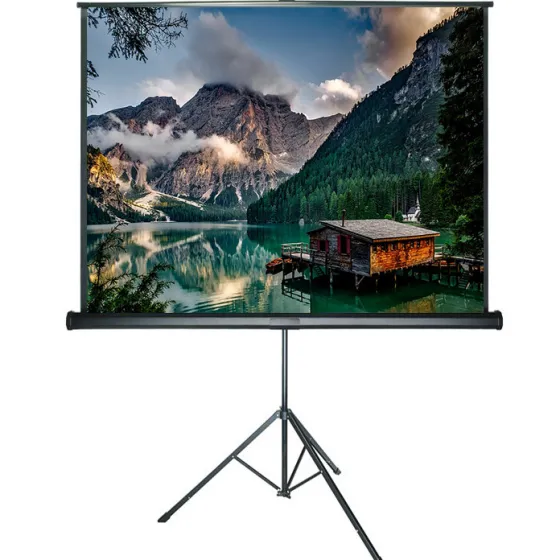 DELUXX Advanced Ecran de projection sur pied manuel blanc mat Polaro 172 x 172 cm