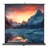 Ecran de projection celexon Ultramobile PRO 120 x 120 cm