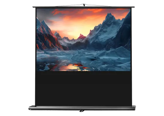 Ecran de projection celexon Ultramobile PRO 120 x 75 cm