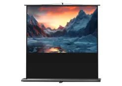 Ecran de projection celexon Ultramobile PRO 160 x 100 cm