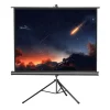 Ecran de projection sur pied celexon Economy 211 x 160 cm