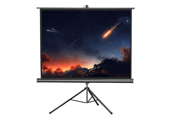 Ecran de projection sur pied celexon Economy 158 x 118 cm