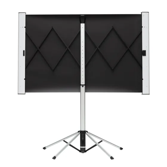 Ecran de projection sur pied celexon Mobil Expert double format 4:3/16:10 - 172 x 108 cm 80"