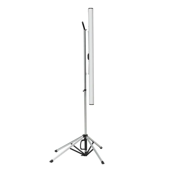 Ecran de projection sur pied celexon Mobil Expert double format 4:3/16:10 - 172 x 108 cm 80"
