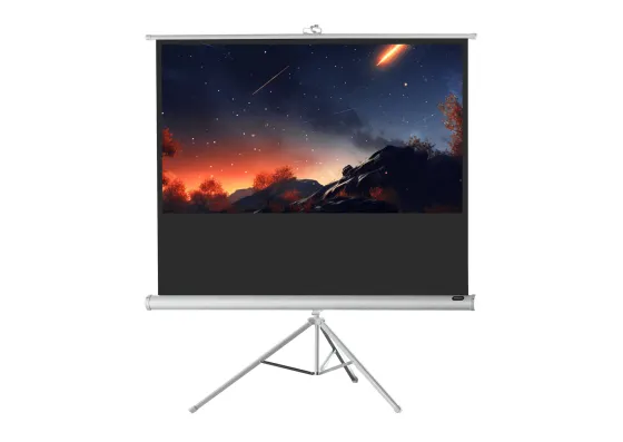 Ecran de projection sur pied celexon Economy 244 x 138 cm - White Edition