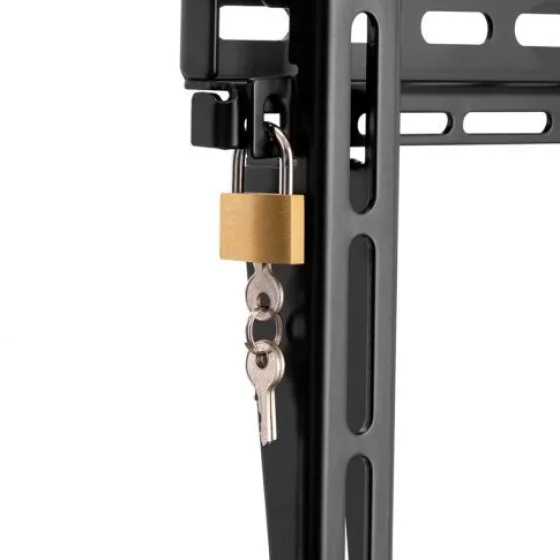 Hagor WH 50 F-HD Support mural rigide pour écrans de 32"-75″ (mode portrait)