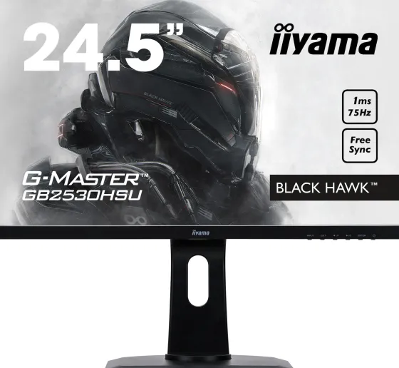 iiyama 24,5" TN Moniteur, 1920 x 1080 Full HD, 1ms