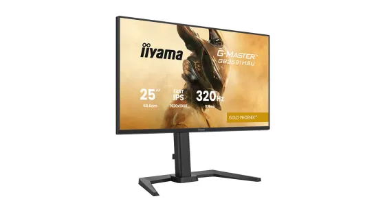 iiyama G-MASTER GB2591HSU-B1 Moniteur IPS rapide Gold Phoenix 25 pouces