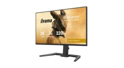 iiyama G-MASTER GB2591HSU-B1 Moniteur IPS rapide Gold Phoenix 25 pouces
