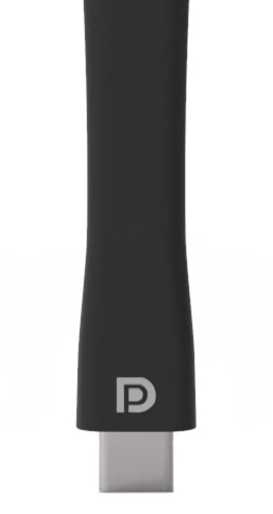 iiyama WP D002C Dongle de présentation sans fil avec connecteur USB-C