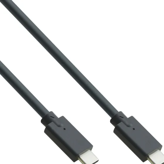 Inline Câble USB 3.2 Gen.1x2 - connecteur USB Type-C/connecteur USB Type-C, noir, 3 m