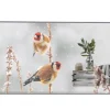 LG 55EW5P-M Affichage OLED transparent