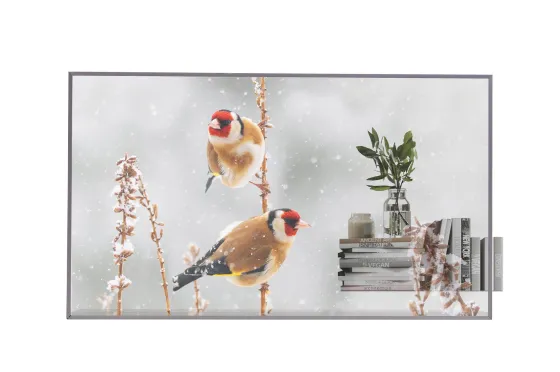 LG 55EW5P-M Affichage OLED transparent