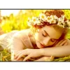LG 65UL5Q-E Affichage dynamique webOS 4K UHD de 65 pouces pour un fonctionnement 24 heures sur 24, 7 jours sur 7