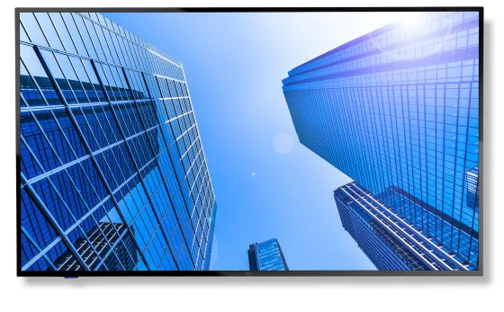 NEC 65" Display