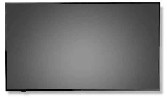 NEC 65" Display