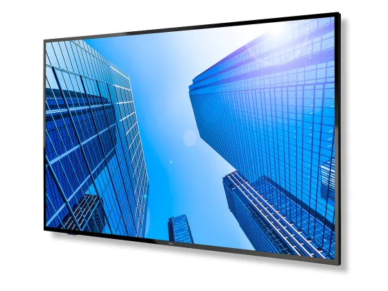 NEC 65" Display
