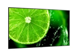 NEC E988 98" Display