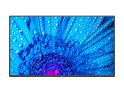 NEC M751 75" Display
