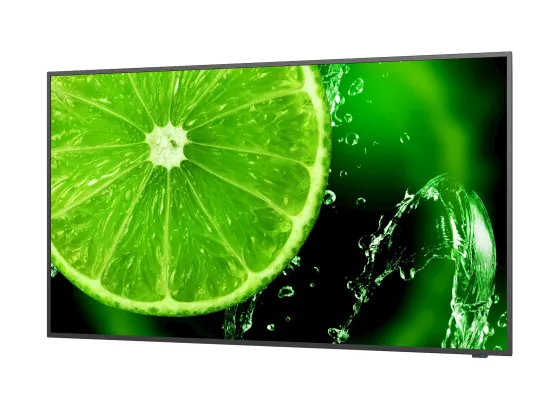 NEC MultiSync E328-2 32" Display