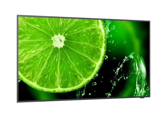 NEC MultiSync E328-2 32" Display
