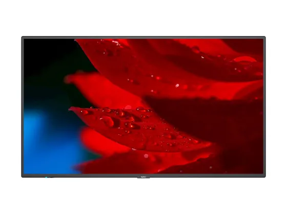 NEC MultiSync P495 49" Display