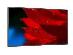 NEC MultiSync P495 49